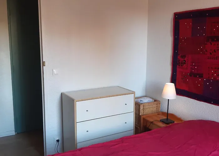 Superbe T2 Rez-de-jardin, 4 Pers, Proche Mer, Parking Securise, Animaux Acceptes - Fr-1-798-21