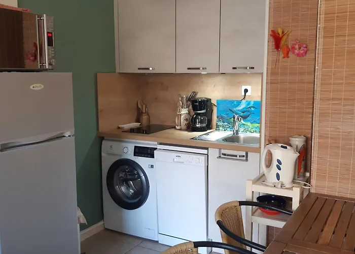 Apartment Superbe T2 Rez-de-jardin, 4 Pers, Proche Mer, Parking Securise, Animaux Acceptes - Fr-1-798-21 Leucate